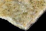 Plate Of Golden, Twinned Calcite Crystals - Morocco #115207-4